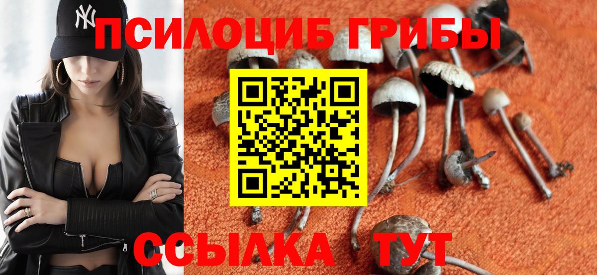 Галлюциногенные грибы MAGIC MUSHROOMS  Вход с VPN  цены   Гуково 